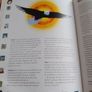 Dreams, Palmistry Books Image 8