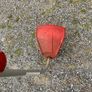 Strimmer Image 6