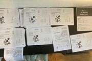 H1 institute of education history notes