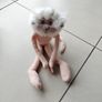 teddy Image 2