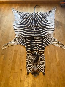 Zebra Skin hide African