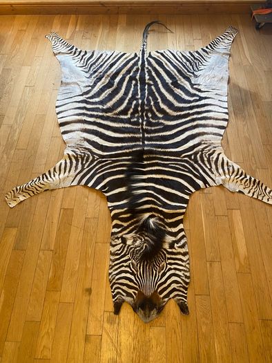Zebra Skin hide African