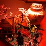 Lego Tranquil Garden Image 3