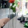 vases Image 4