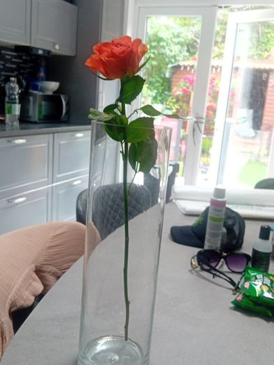 vases
