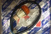 Repeater Lamp (Lancia Delta integrale  Fiat Uno)