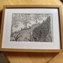 Picture Image 3