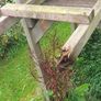 Wooden swing and slide climbing frame Image 3