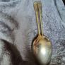 Desert Spoons Image 6