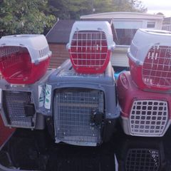 cat and dog carry cages