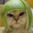 lado