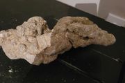 marine rocks