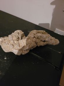 marine rocks
