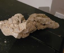 marine rocks