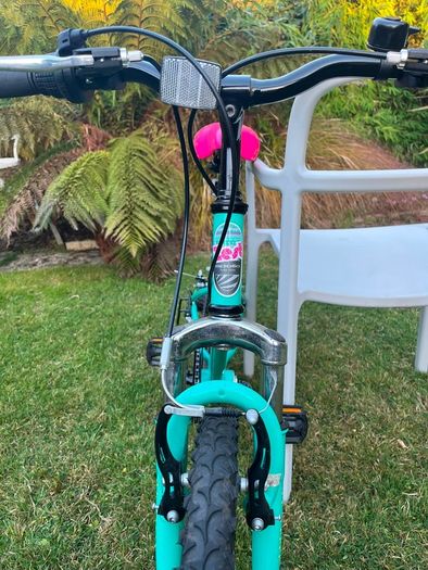 2 kids bikes