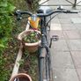 Bicycle Image 2