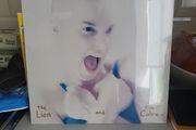 Sinead o'Connor the lion and the cobra