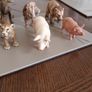 schleich animals Image 5