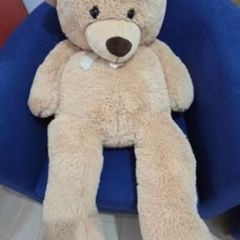 Big Teddy