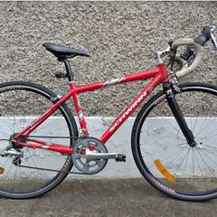 Female Bicycle For Sale