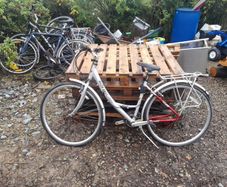 ladies bike