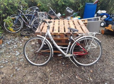 ladies bike