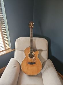 takamine EF508C VN