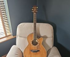 takamine EF508C VN