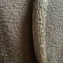 Antique steel sharpening tool Image 5
