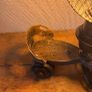 Vintage roller skate lamp Image 8