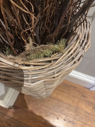 Very tall rattan planter with contorted willow