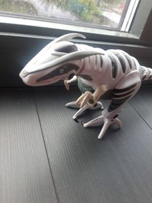 Robo Dinosaur white and grey@"