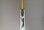 Cricket bat