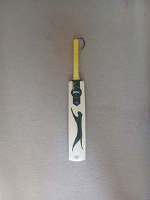 Cricket bat