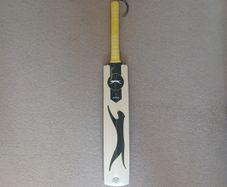 Cricket bat