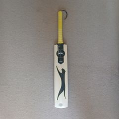 Cricket bat