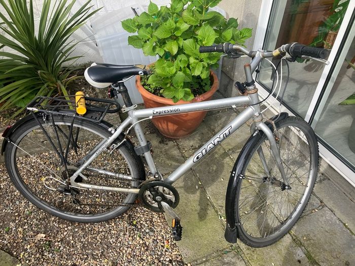 Giant Bike
