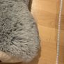 Large teddy bear (130cm) Image 2