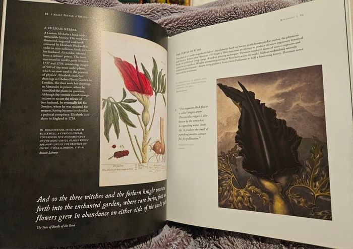 Harry Potter: A History of Magic