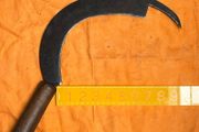 Vintage  Agricultural Beet Hook