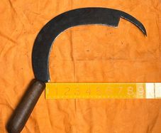 Vintage  Agricultural Beet Hook