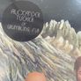 Alexander Tucker - Don't Look Away (Limited Edition) Image 3