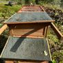 chicken run Image 3