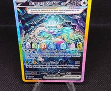 Terapagos Pokemon Card