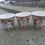 3 Miniature Garden Roses Plant Pots Image 2