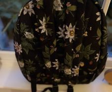 Vans Backpack