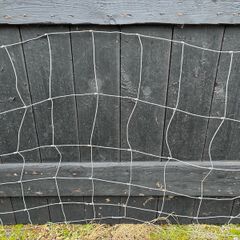 12ft sheep wire