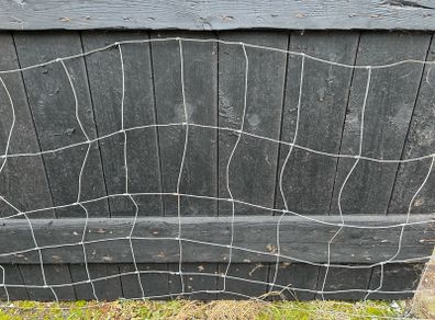 12ft sheep wire