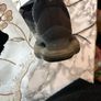 nike Image 6