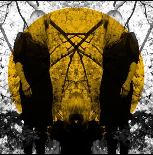 Austra Feel it break lp